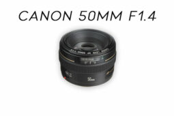 Canon 50mm F1.4 – Great Lens for Portrait in Full Censor
